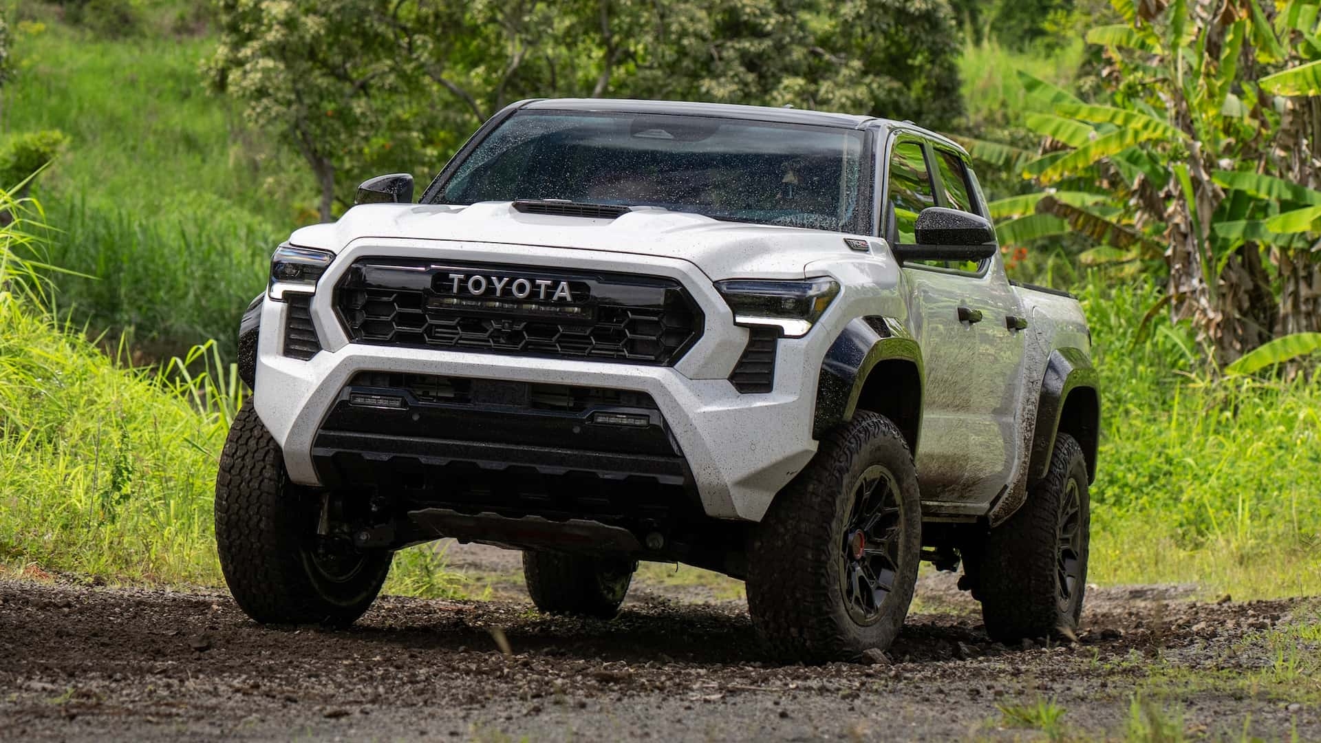 2024 Toyota Tacoma Trd Pro Anthia Bellanca